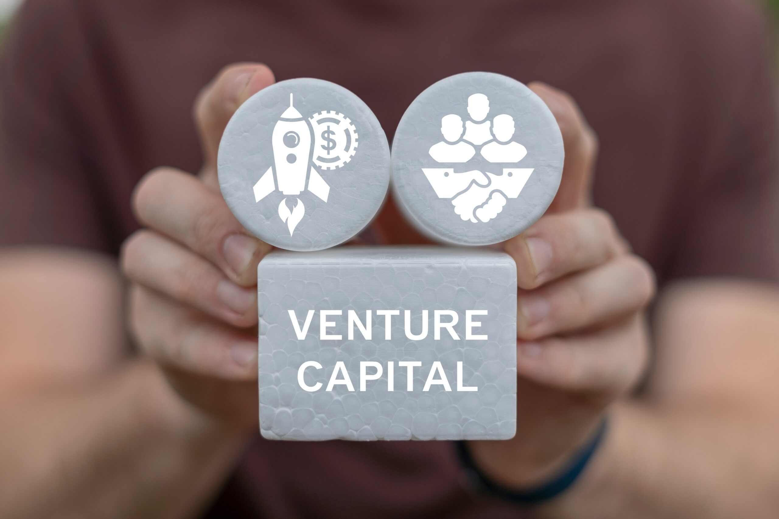 VC Venture Capital
